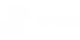 Logo Swintt